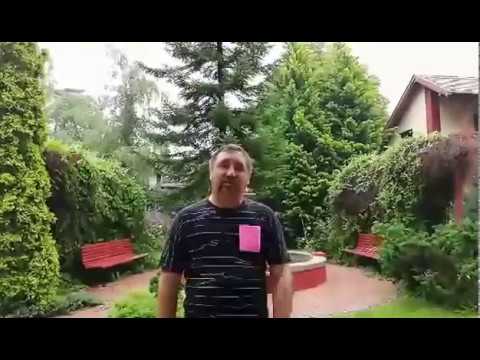 Budite hrabri i recite NE- Dejan Stanković