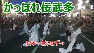 全力で『かっぽれ佞武多』踊ってみた【清水みなと祭り2017】