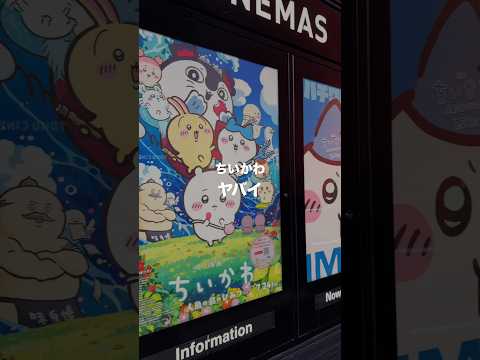 大ヒット「映画ちいかわ 人魚の島のひみつ」を正直レビュー！