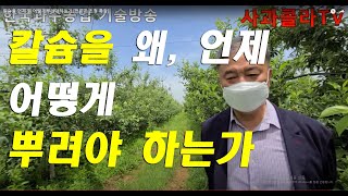 칼슘의 진실.어떤 칼슘