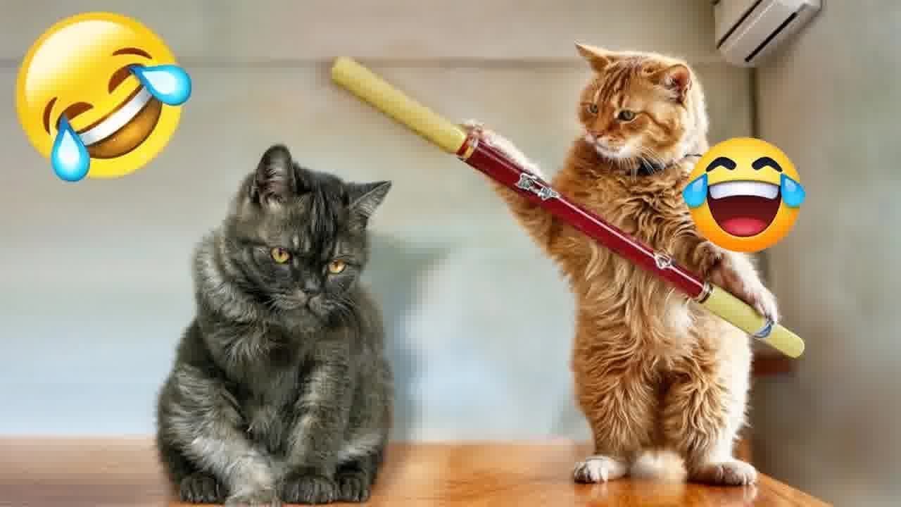 You Laugh You Lose😺🐕🐶Funniest Dogs and Cats 2025😍