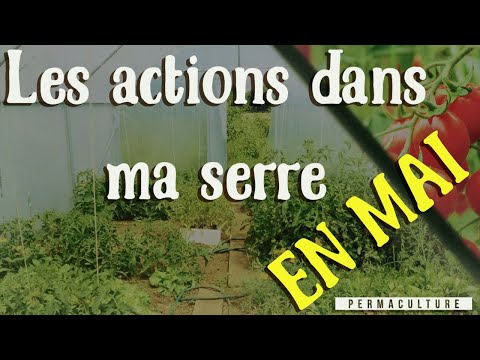 , title : 'Les actions dans ma serre en MAI'