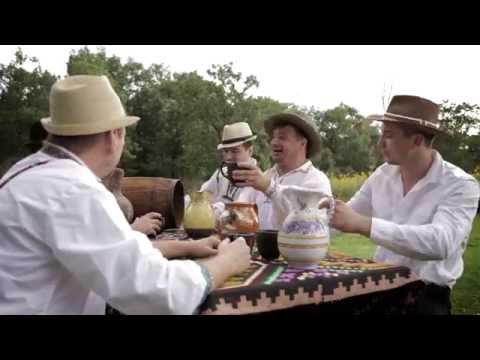 Calin Horon - Parodie Muzicala