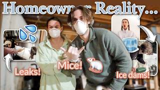We Weren't Ready...😅 First-Time Homeowner Problems | Mice, Water Leaks, No Heat & Ice Dams in Maine