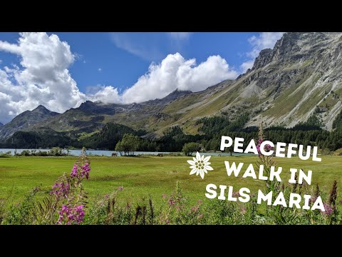 Walking through Sils Maria | Chill out video | BEAUTIFUL GRAUBÜNDEN