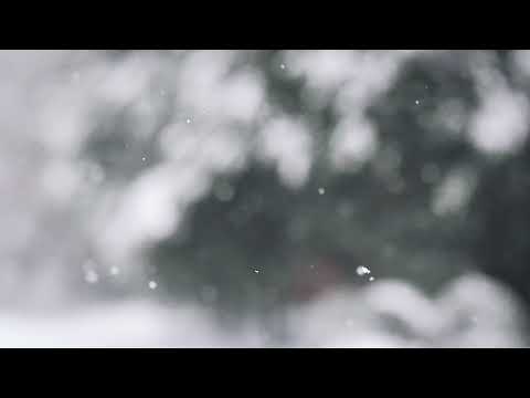 [FREE] - PARTYNEXTDOOR x Ty Dolla $ign R&B Type Beat "AMG"