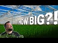 You Won T Believe How Big This Commercial Greenhouse Is