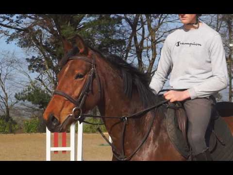 🌟 Top Potential Eventer 🌟 - Image 2