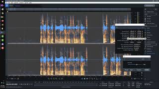 How to remove noise from a Camtasia project with Izotope RX instead of Camtasia