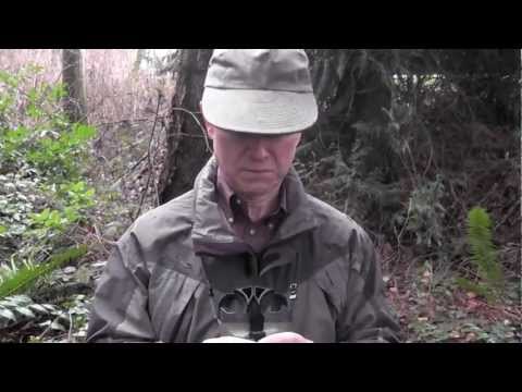 The Birdwatcher and the Cardinal - Archie McPhee