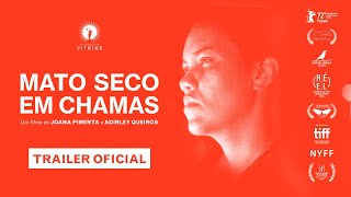 Mato Seco em Chamas | Trailer oficial
