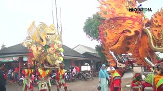 Download lagu TANJUNG BARU - SINGA DANGDUT PUTRA GENADES | TANJUNGSARI 4-10-2022 mp3 Download lagu TANJUNG BARU - SINGA DANGDUT PUTRA GENADES | TANJUNGSARI 4-10-2022 mp3