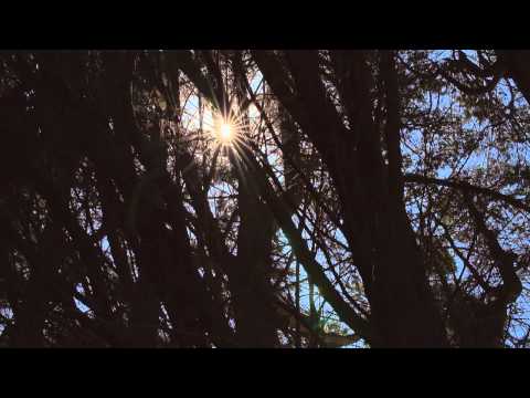 Neighbours: Monday 27 April -  Clip