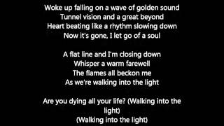 Rise Against - Sudden Life (The Black Markt)