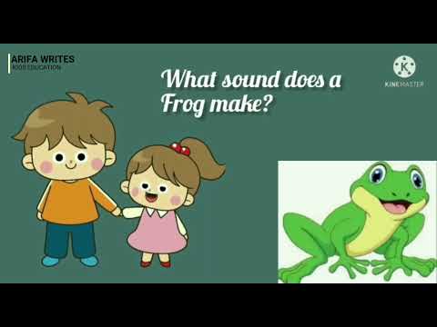 Animal Sounds|| conversation between brother & sister|| kids education|| Arifa writes