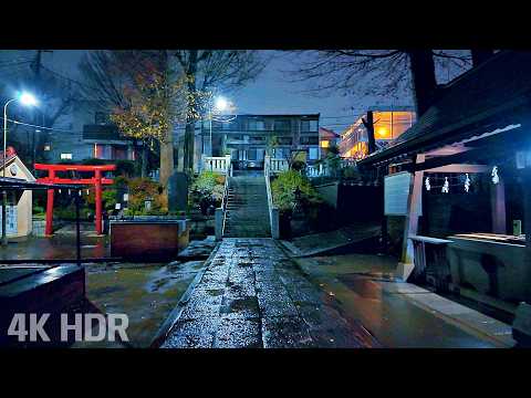 [ASMR] Continuous Rain Walking Through Empty Alleys on a Winter Night | Tokyo, Japan | 4K/HDR
