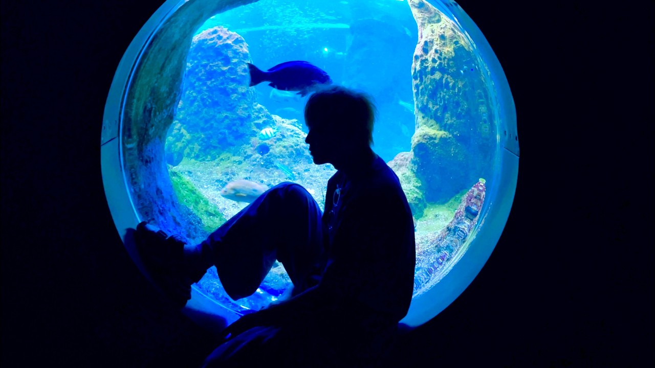 Wiz_nicc 海底秘密基地 YouTube Live Vol.1