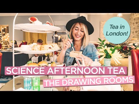 Science Afternoon Tea at The Drawing Rooms in London - Dig Up Dinosaur Fossils in Chocolate Dirt!