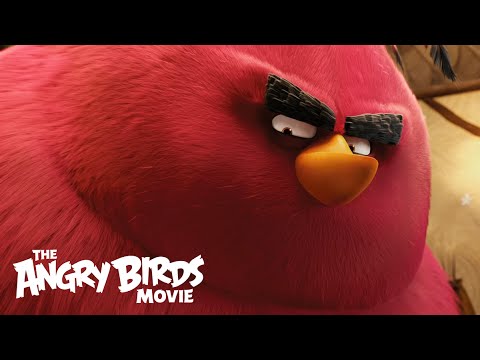 Angry Birds (Clip 'Meet Terence')