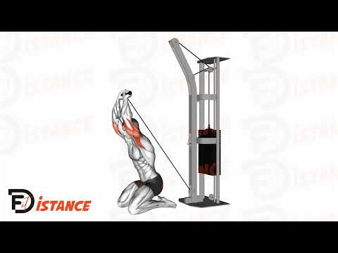 Exercice Extensions triceps à la poulie genoux au sol