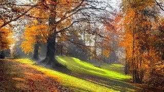 Download lagu 3 HOURS Best Relaxing Music 'Romantic Piano Background Music for Stress Relief, Therapy, L mp3