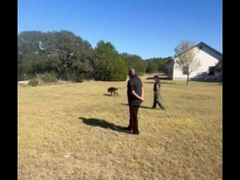 Phillips Protective video.