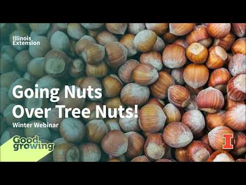 Going Nuts Over Tree Nuts | #GoodGrowing