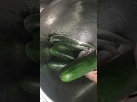 How to wash and remove wax from cumbers or vegetables with a scoring pad 2.23.21