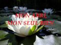TON NOM EST GRAND de Nicolas Ternisien 