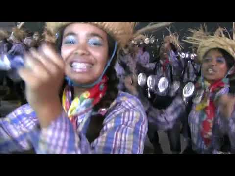 DESFILE DA TUCURUVI 2013