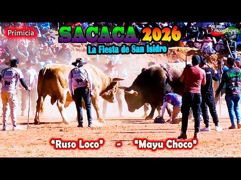 La fiesta de San  Isidro SACACA 2026 T3, "Ruso Loco - Mayu Choco". Video Oficial de ALPRO BO.