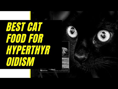 Best Cat Food for Hyperthyroidism