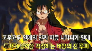 [원피스 분석]고무고무 열매의 충격적인 진짜 이름 그리고 두가지 능력을 각성하는 태양의 신 루피