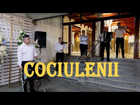 COCIULENII