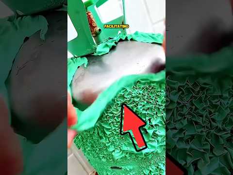 Here's What to Use to Easily Remove Old Paint