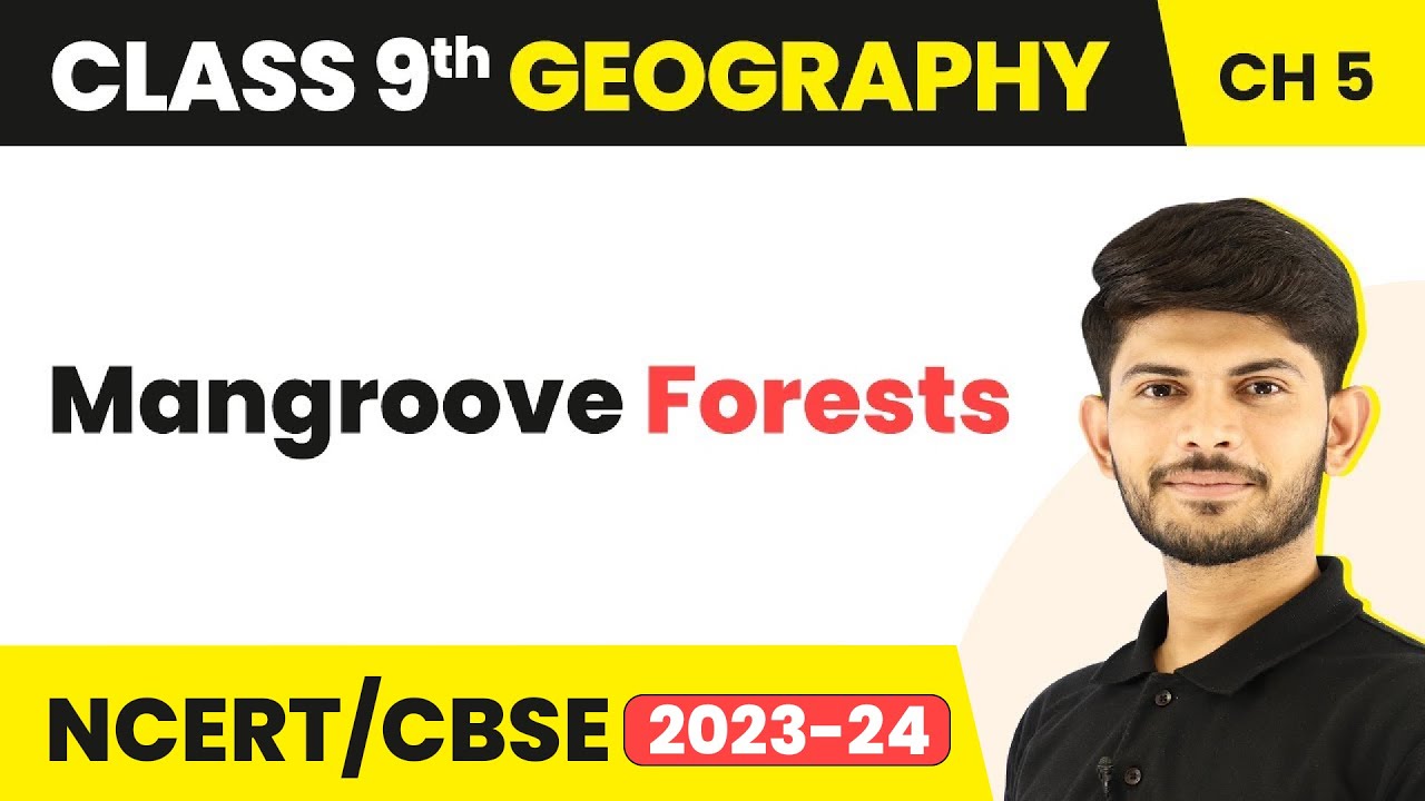 Class 9 Geography Chapter 5 |Mangroove Forests -Natural Vegetation & Wildlife CBSE/NCERT