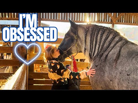 We MIGHT Just Get Our Blue Roan! Dixie Horse Auction 