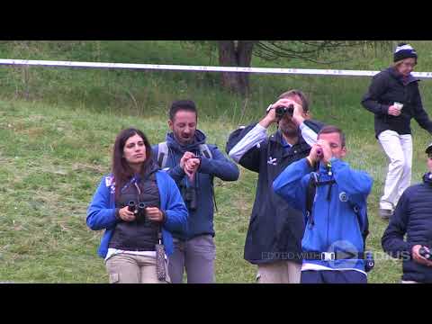 Cortina 2018: le emozioni "mondiali" di venerdì