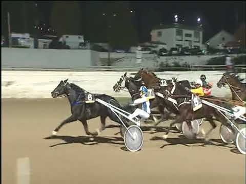 Trotto 10/11/2017 - 8ª corsa - TRIS