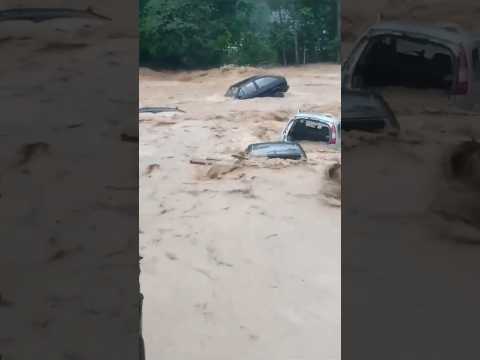 Massive floods due to heavy rainfalls in Vidal Ramos of Santa Catarina, Brazil 🇧🇷. Nov 16,#flood