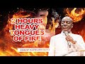 2 HOURS HEAVY TONGUES OF FIRE BISHOP DAVID OYEDEPO