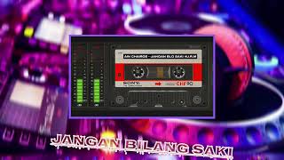 Download lagu AIN CHAIROS - JANGAN BILANG SAKI #U.R.M mp3