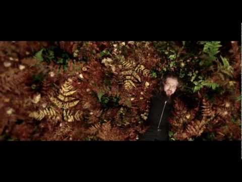 Punamultaa video