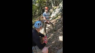 Camping, stars, and rock climbing - the Delaware Water Gap