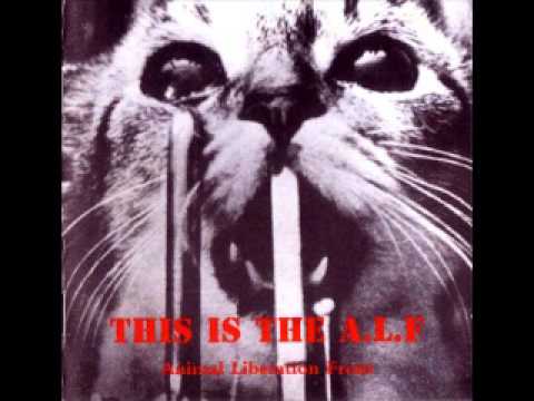 VA. -  The A.L.F. is watching and there's no place to hide