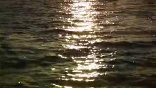 Allah-Las - "Worship The Sun" (Official Video)