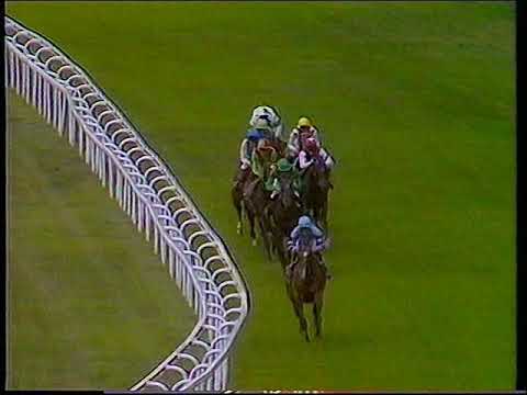 1990 Prince Of Wales's Stakes Batshoof Includes Replay