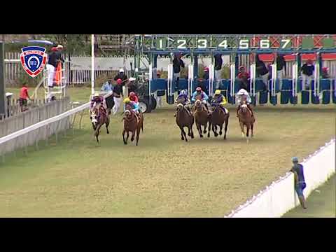 RM36 R3 - Perplexing