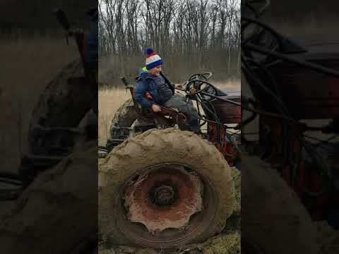 tractoristii din paniova jud timis