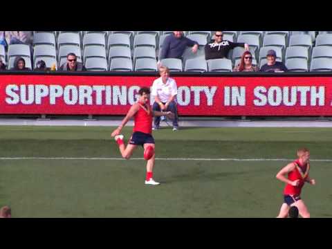 West End State Team vs VFL Highlights